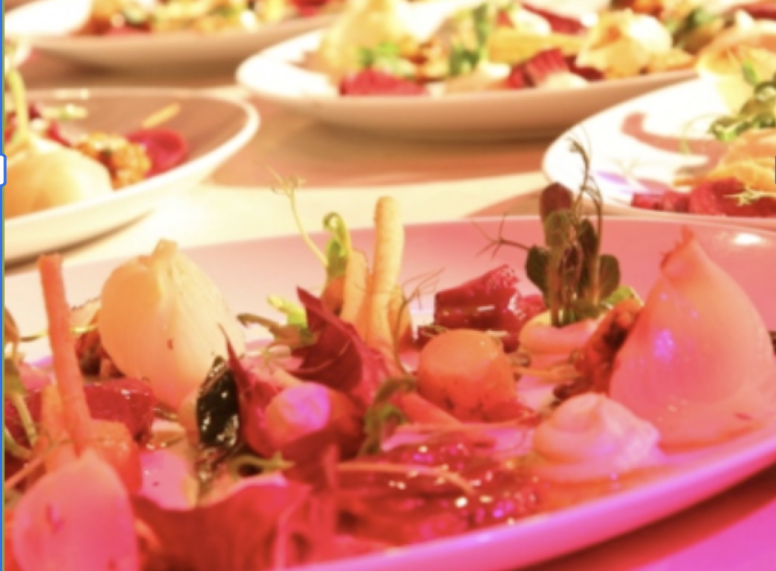 Linda Steen — plated dish